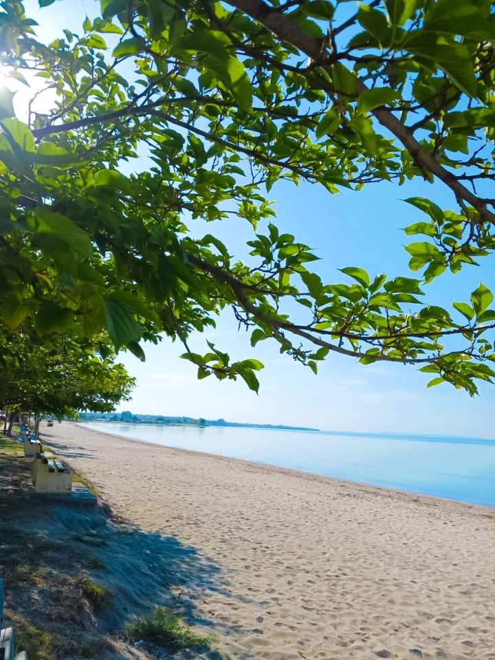 Property thumbnail 57