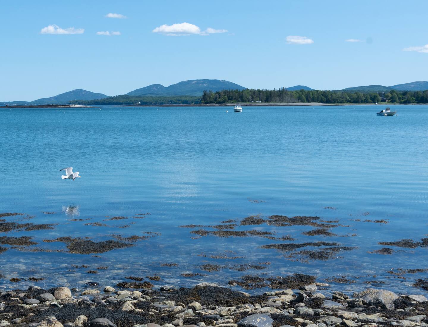 Spectacular Views And Private Shoreline Access - Amazing Modern Retreat - Maine