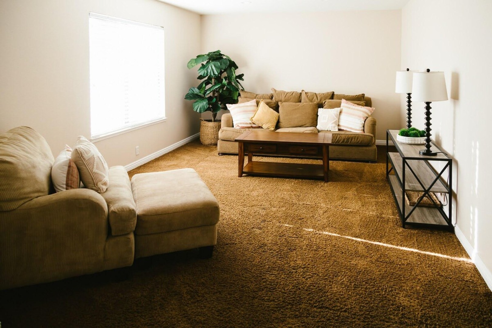 The Palms Home — photo 26