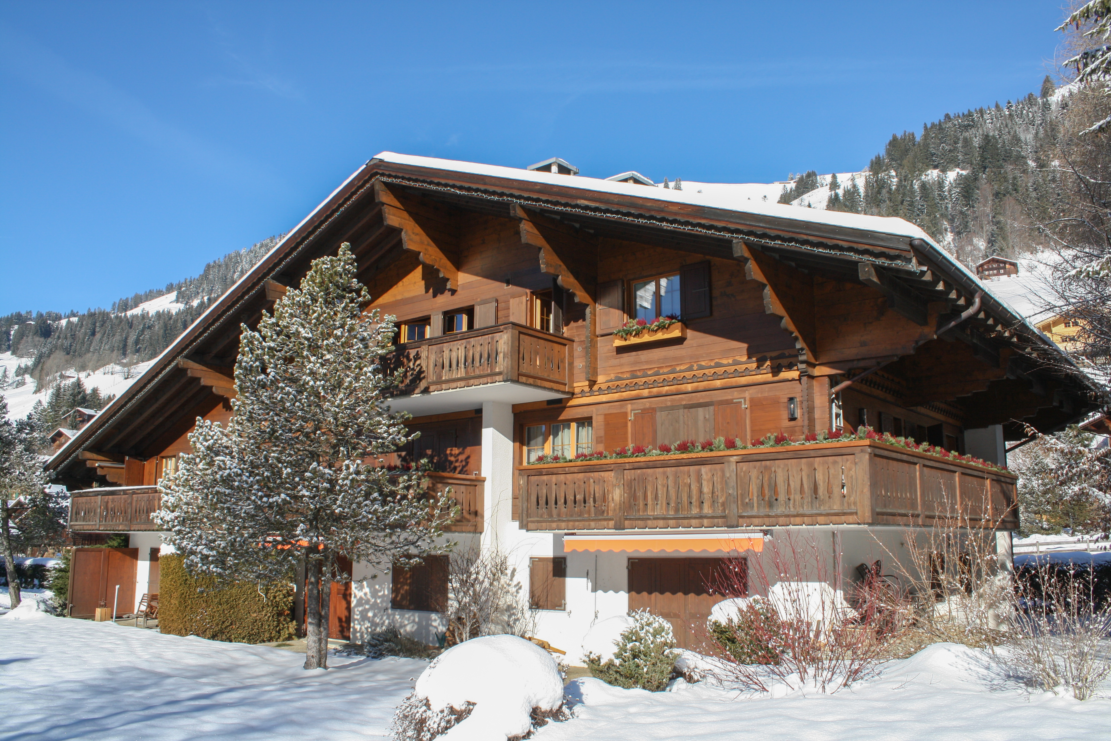 Daguay A6 — Rougemont — vacation rental