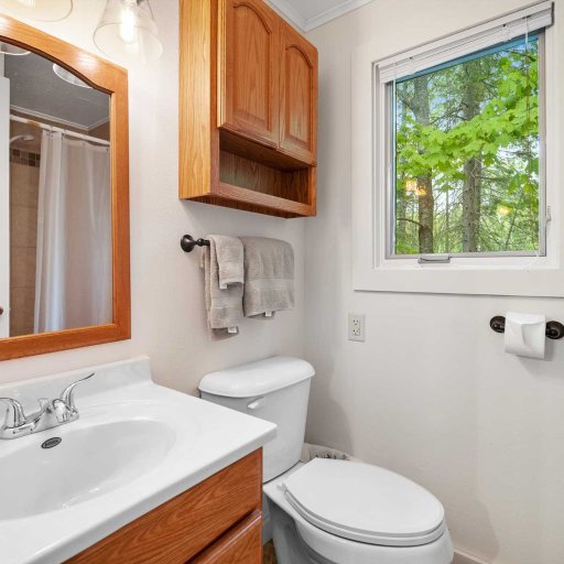 Full bathroom — vanity, mirror, and a tiled walk-in shower