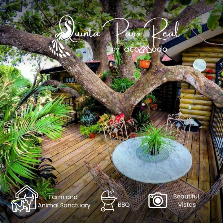 La Casa del Arbol Magico  by AcoModo