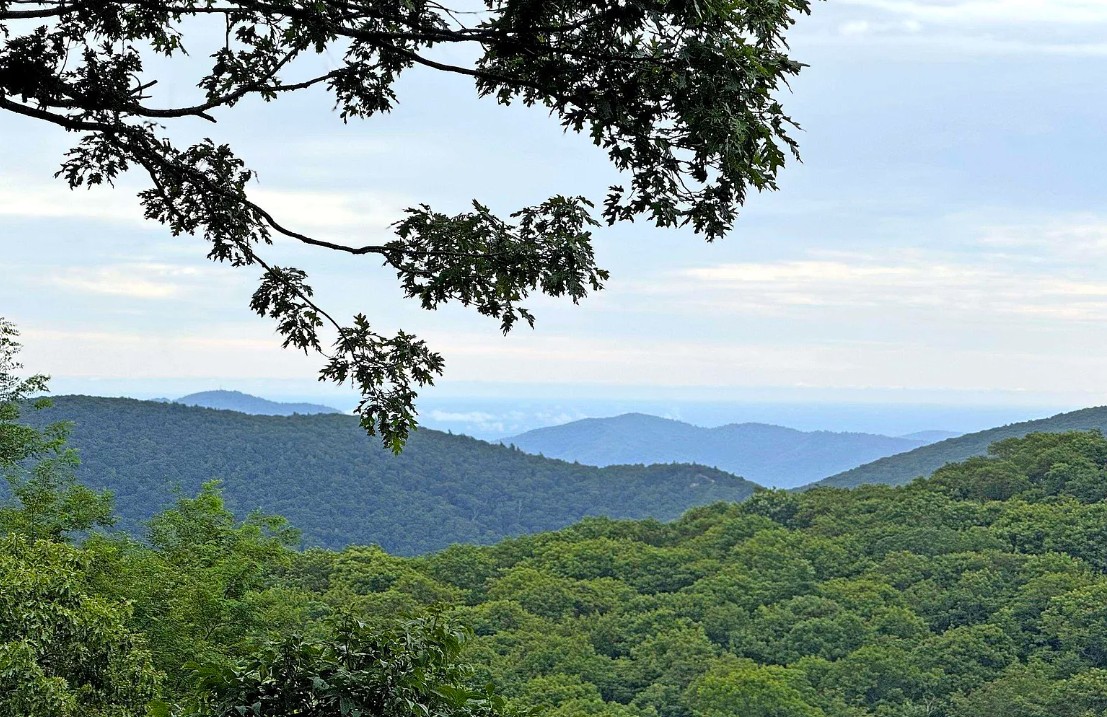 View 5