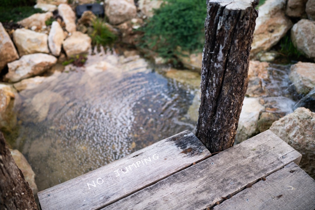 Beautifully landscaped backyard with a calming waterfall feature—perfect for outdoor dining, yoga, or quiet reflection.