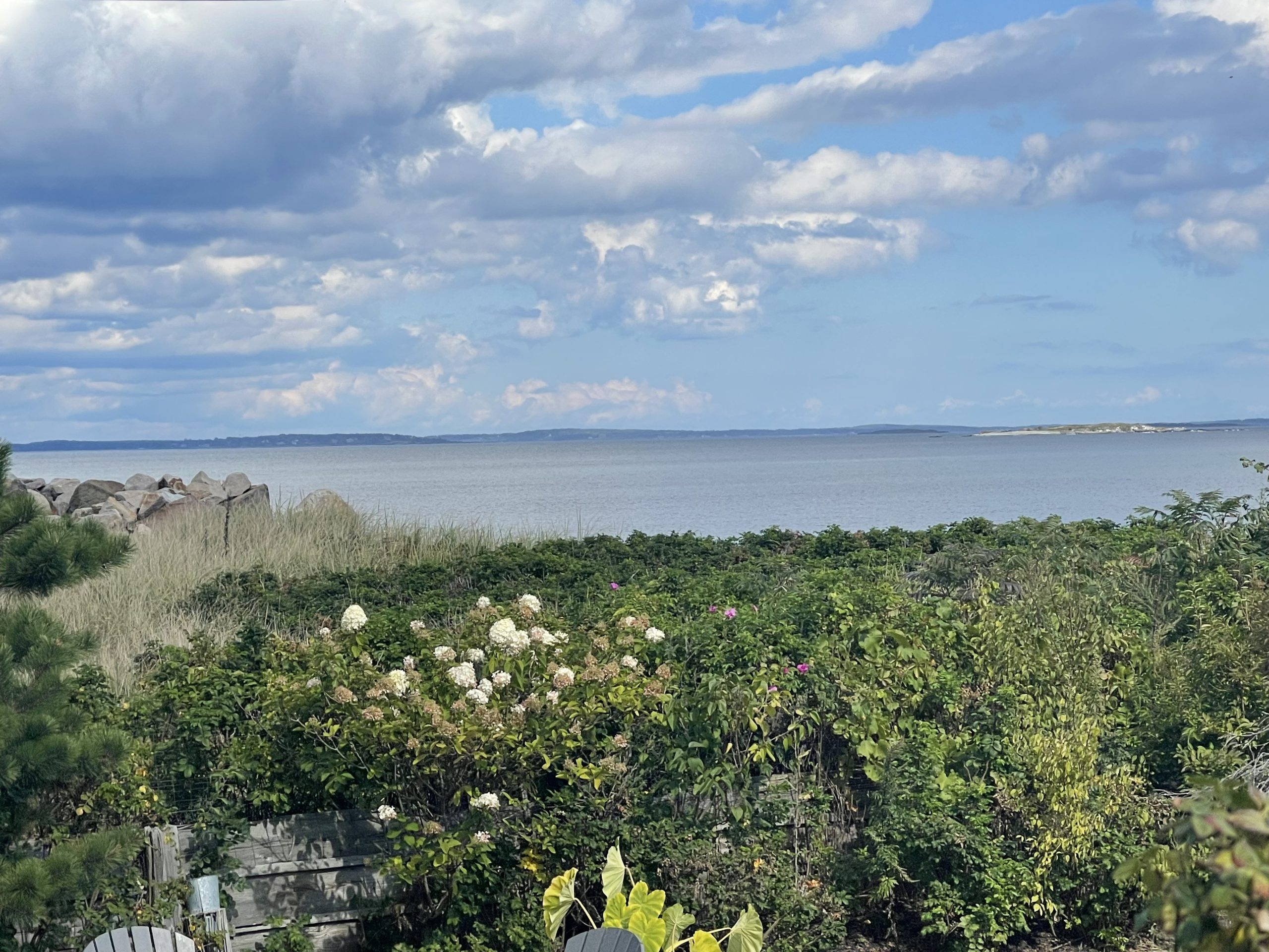 View 2