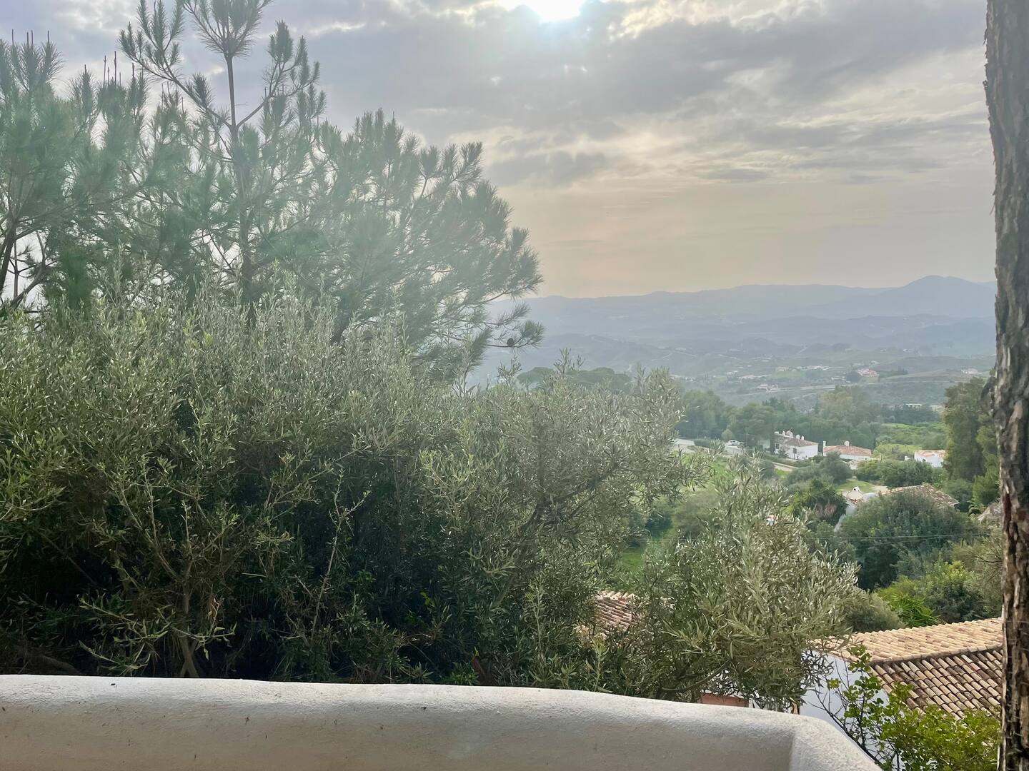 View 5