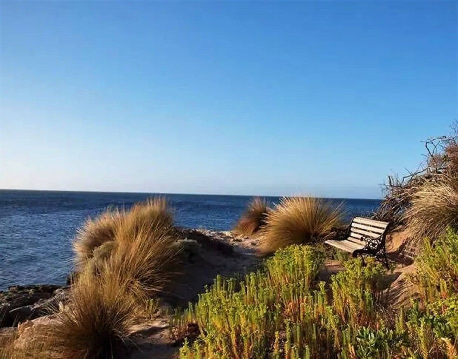 Peaceful Natural Setting – Pleasant green outlook with abundant local wildlife and plentiful fishing opportunities nearby.