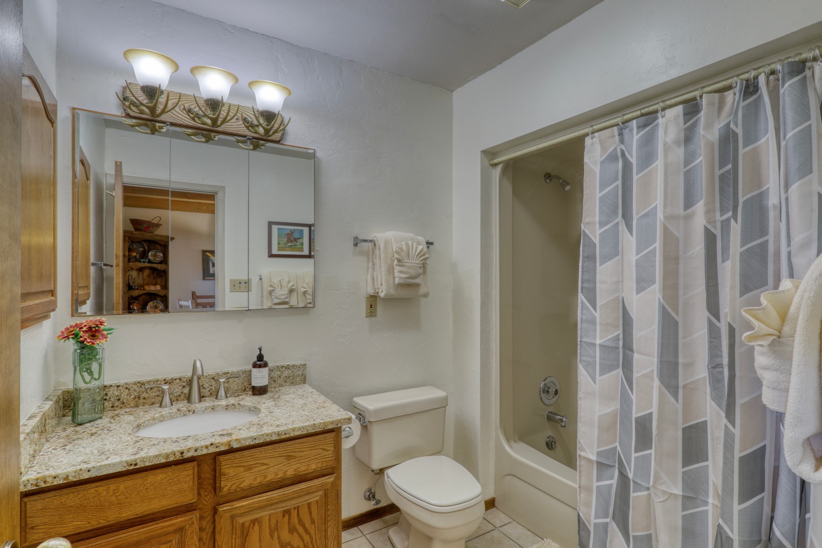 Downstairs Guest Bathroom 