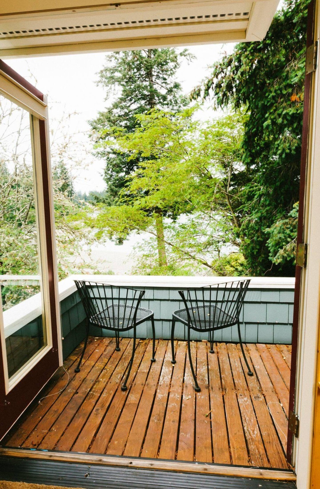 Wisteria Hollow Cottage — photo 26