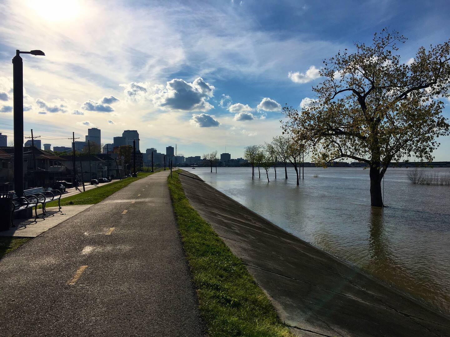 Walk along the Mississippi River levee for lovely views of the New Orleans skyline.