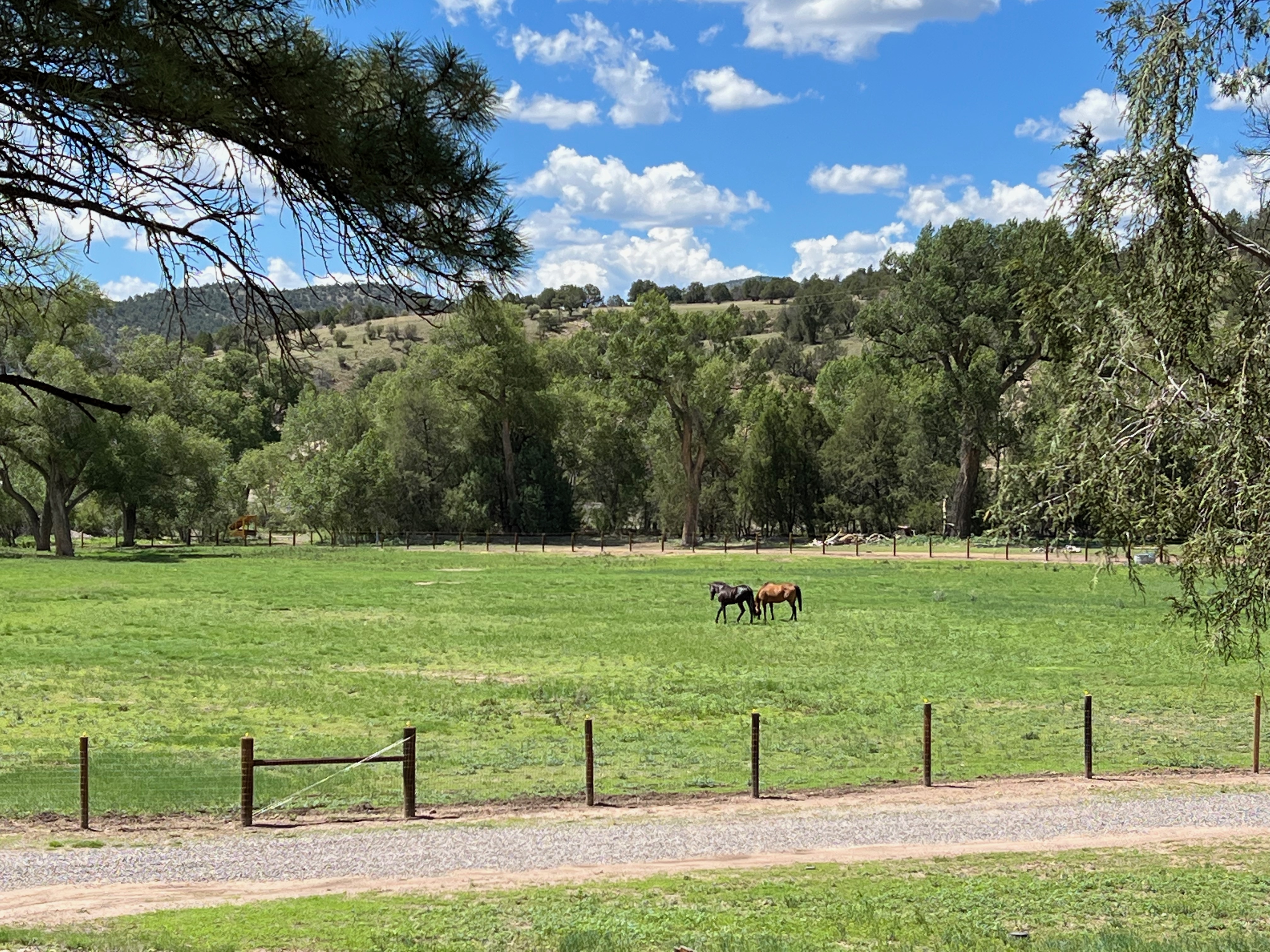 Salt Creek Cabin in the Gila photo 3
