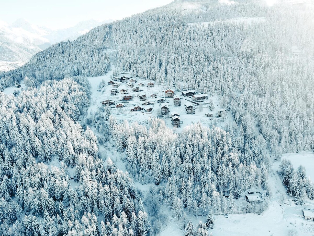 Apt. La Petite Grive, Arc1600, ski in/out — Arc 1600, Les Arcs, Auvergne-Rhône-Alpes — vacation rental