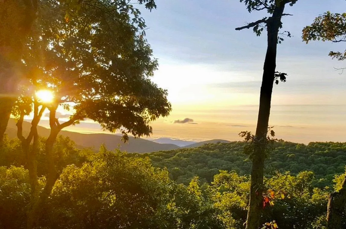 View 3