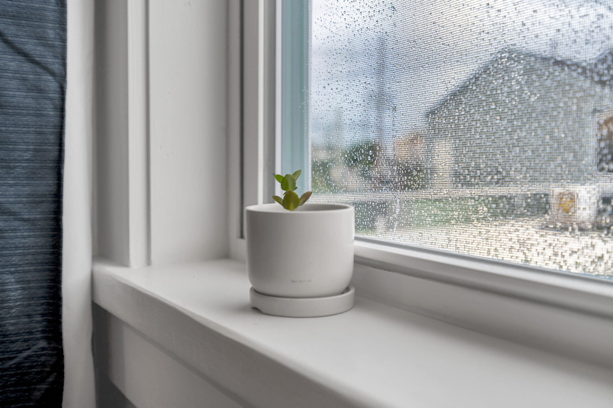 Peaceful corner with a view of raindrops and a potted plant.