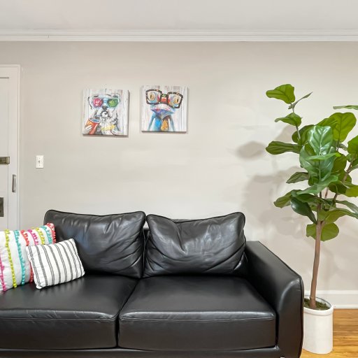 Vibrant living room - functional meets fun!  Coat closet to the right, front door area to the left.  
