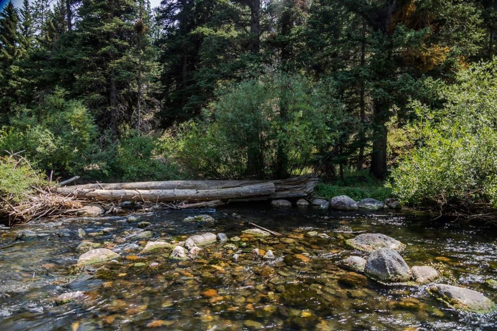 Mammoth Creek Cabin — photo 36