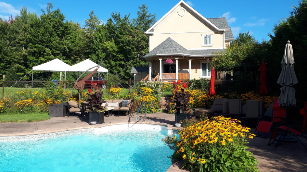 Maison aux Mésanges 11-06-2024 - 4