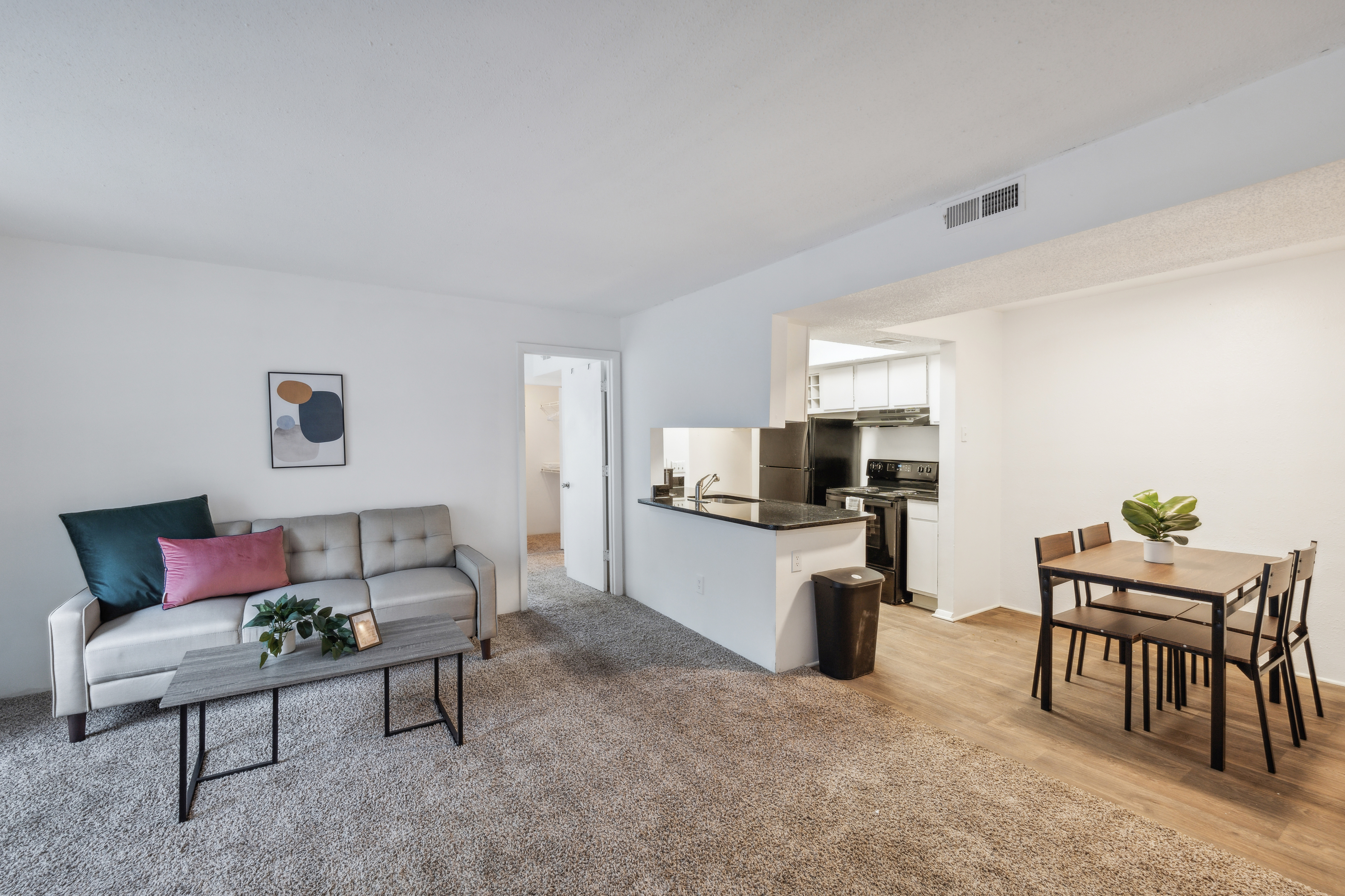 Northcliffe 1107 I Fully Furnished 2 Bedroom 2Bth in Winston-Salem, NC