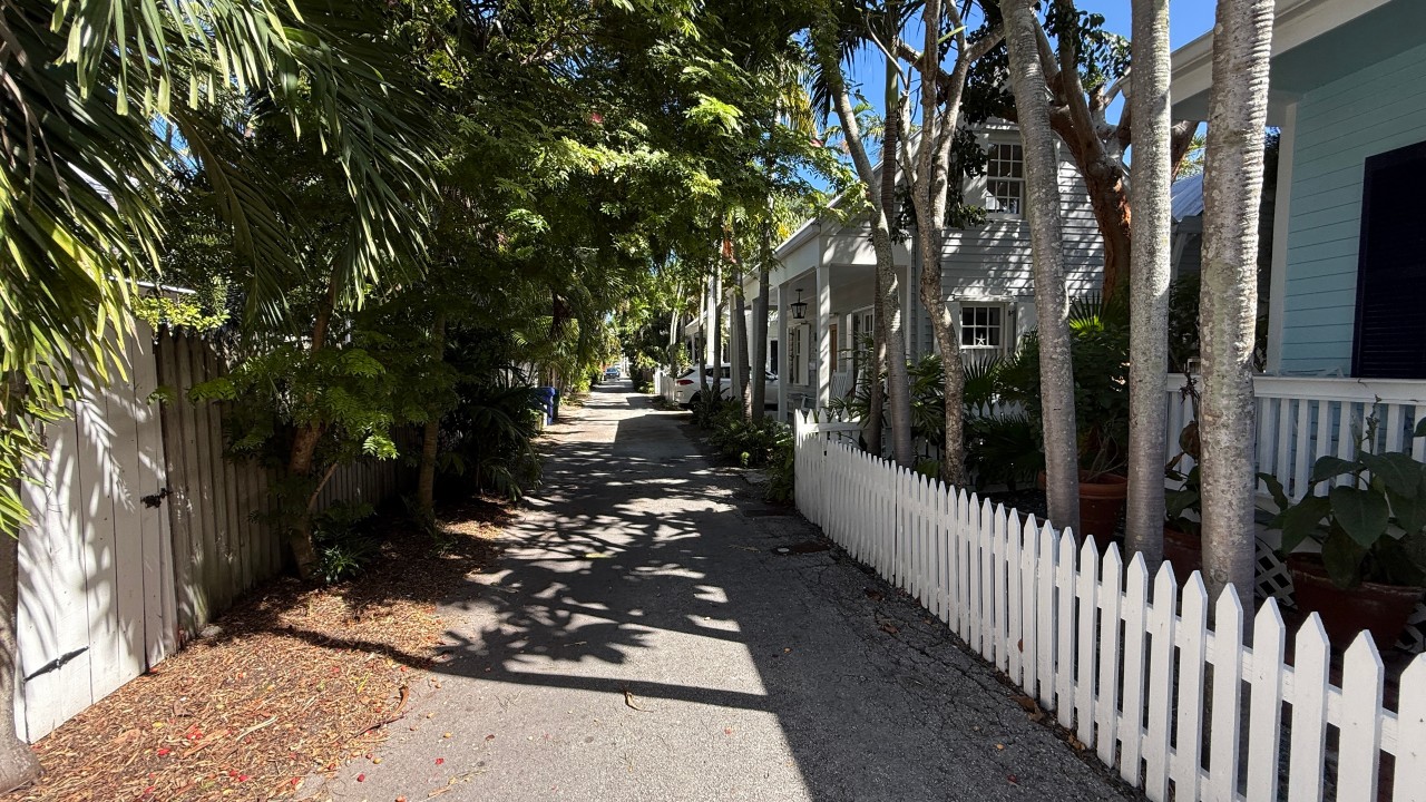 Carsten Lane Cottage — Carsten Lane  secluded but  just a few blocks to Duval and the Historic Seaport