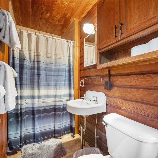 Clean, simple bathroom with walk-in shower.