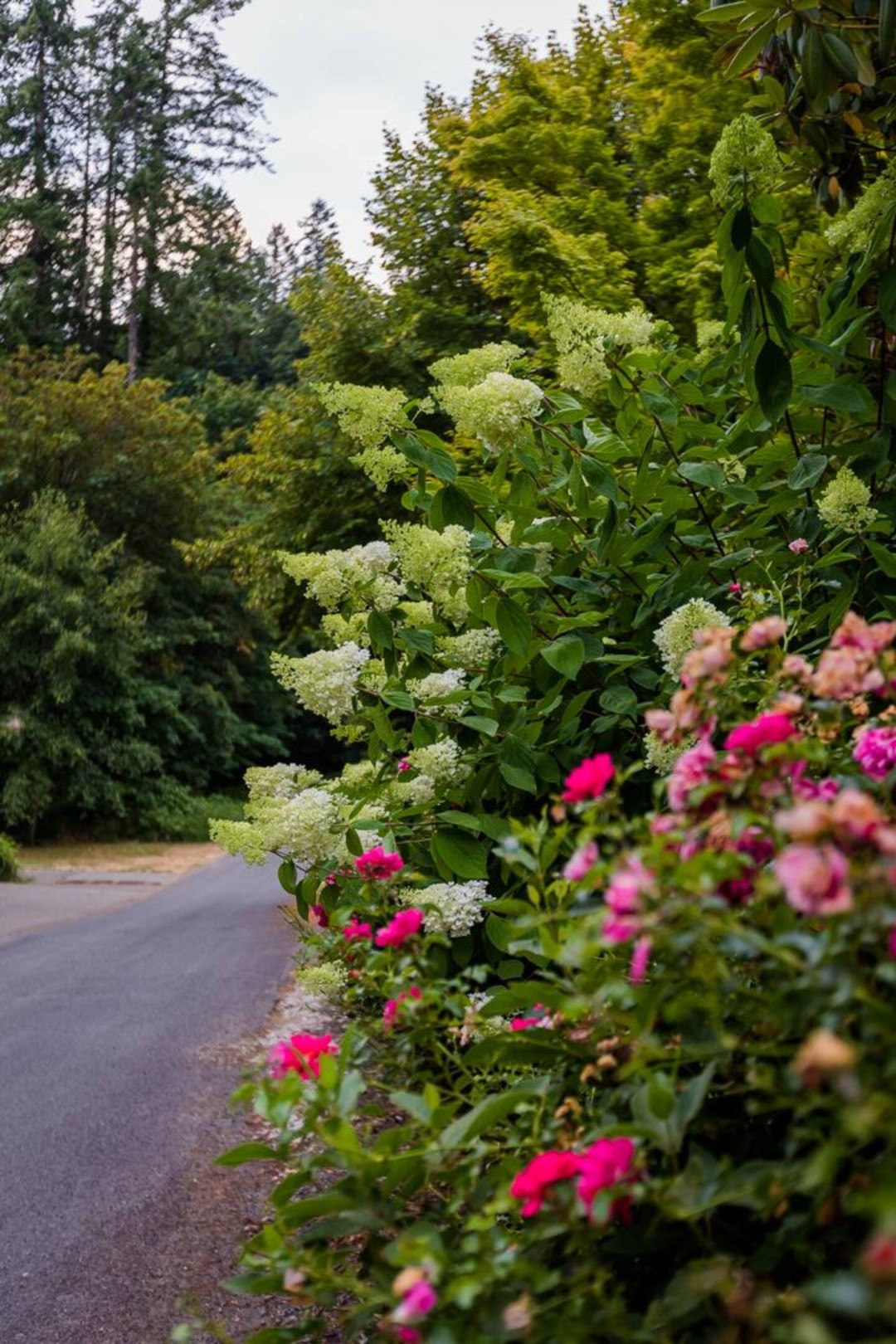Wisteria Hollow Cottage — photo 39