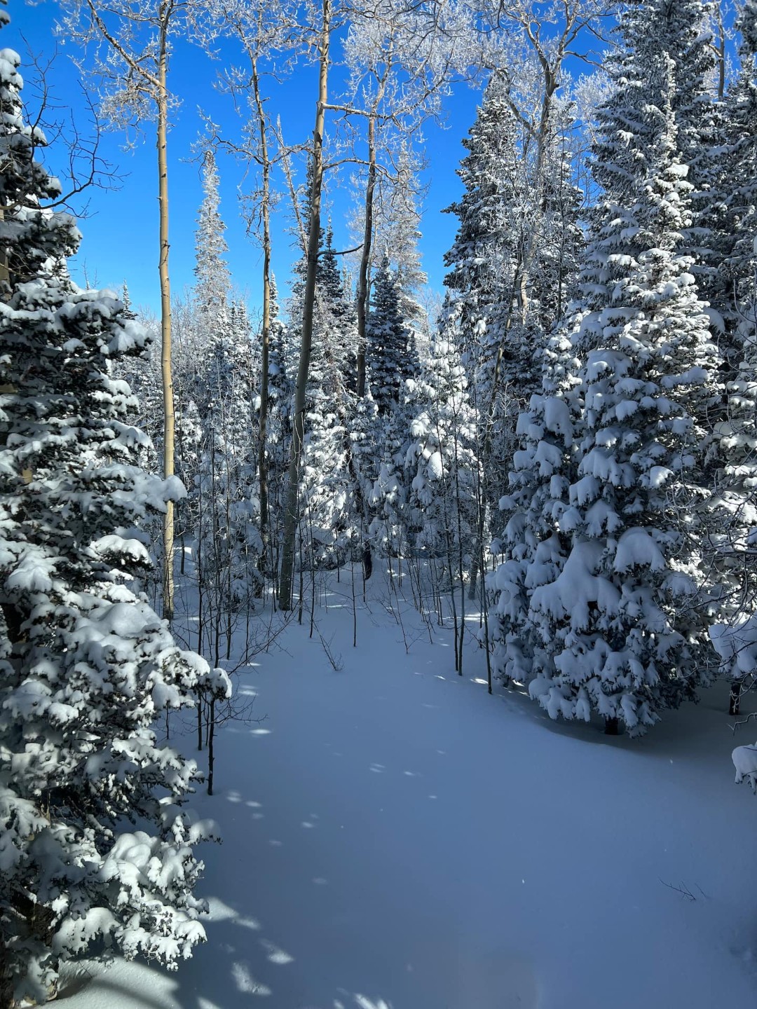Brian Head Fir Cabin — photo 28