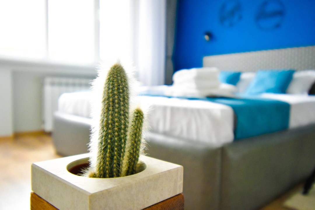 Property thumbnail 17