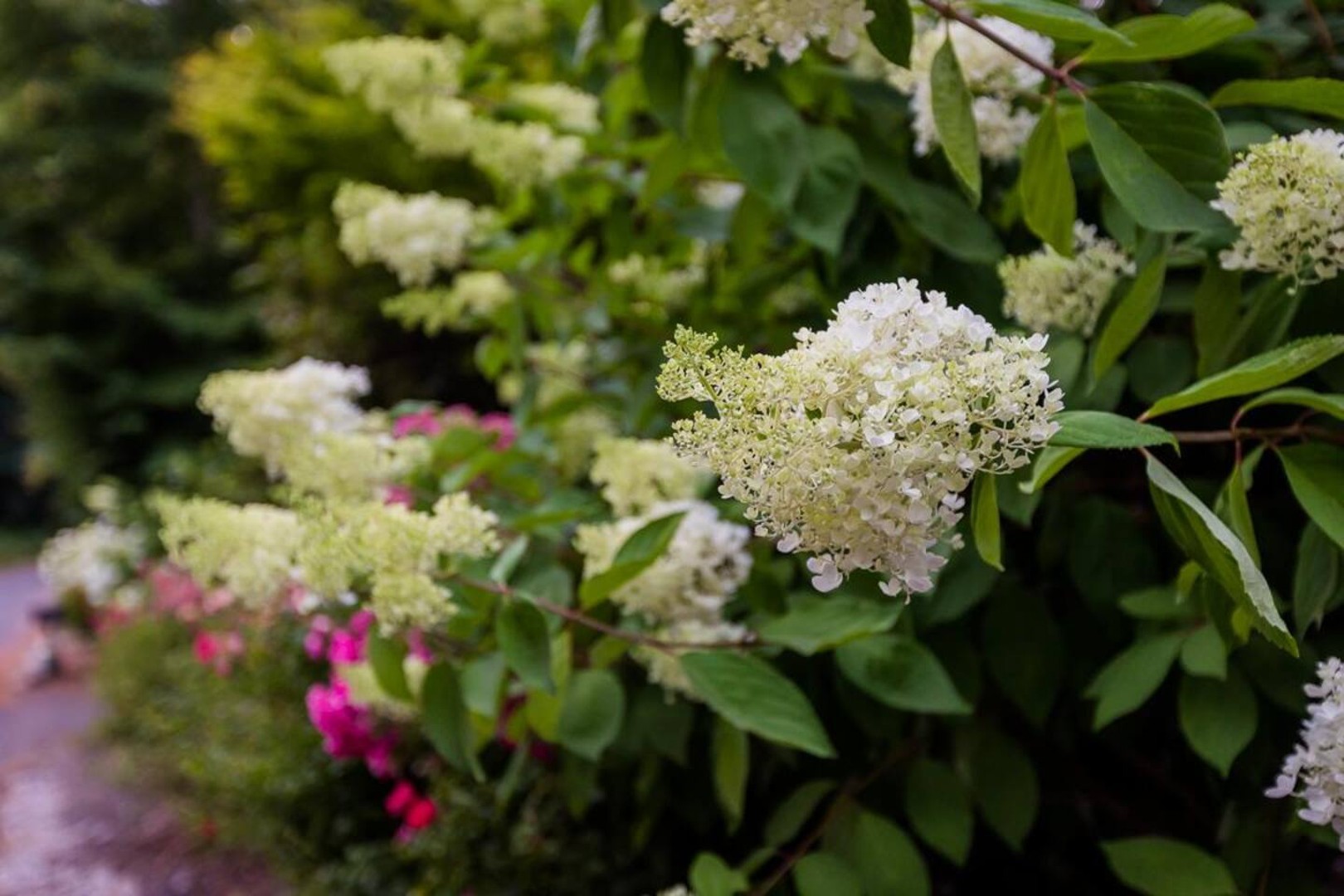 Wisteria Hollow Hideaway — photo 32