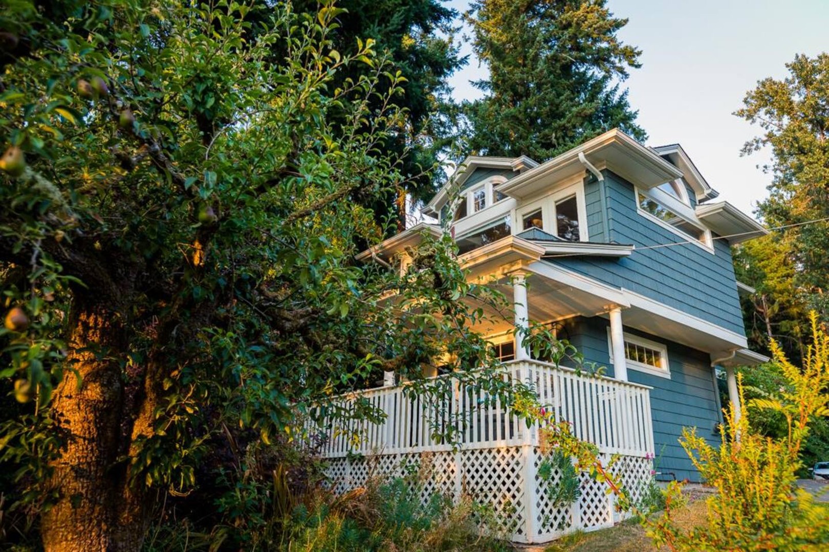 Wisteria Hollow Cottage — photo 38