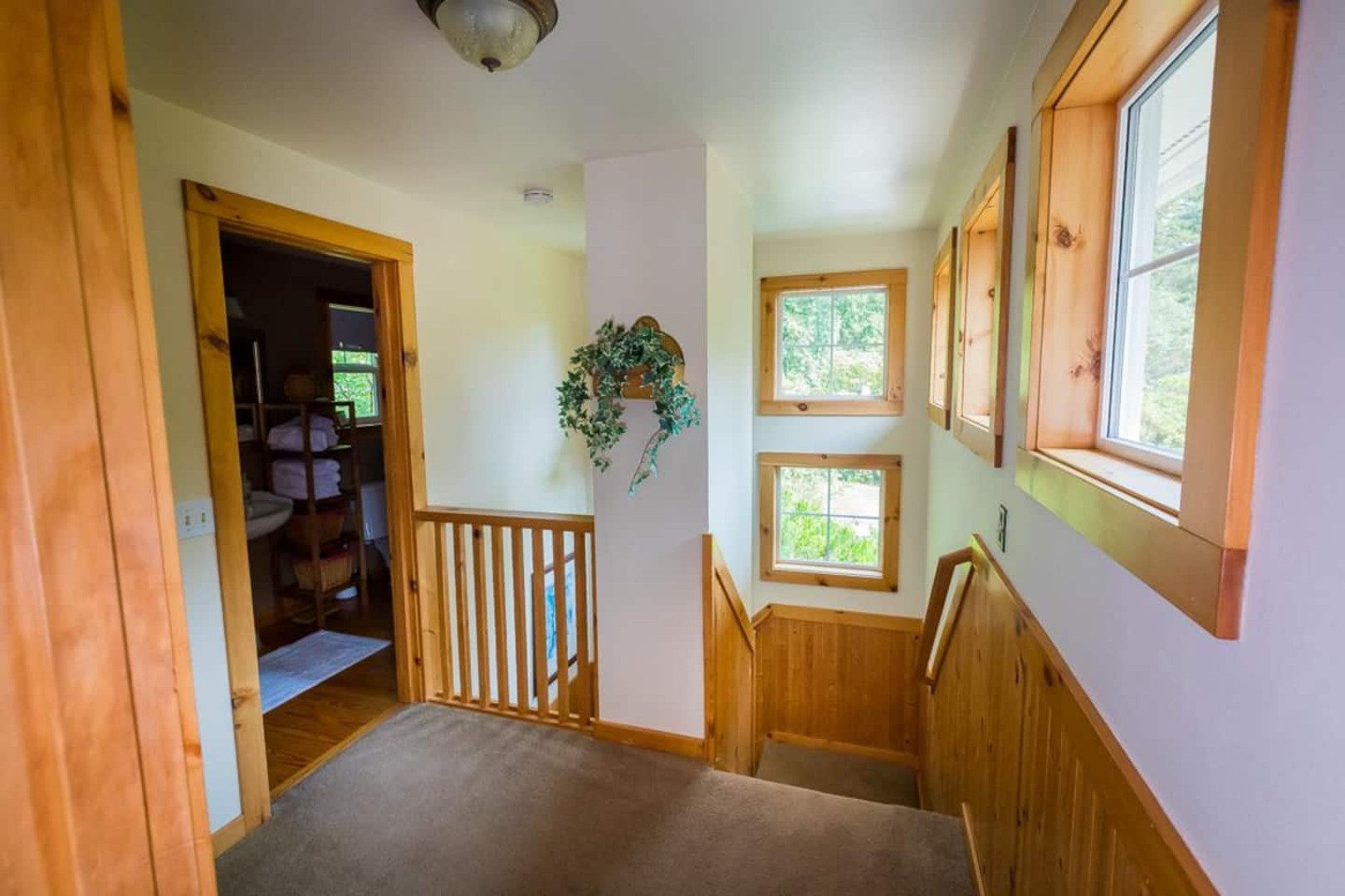 Wisteria Hollow Cottage — photo 21