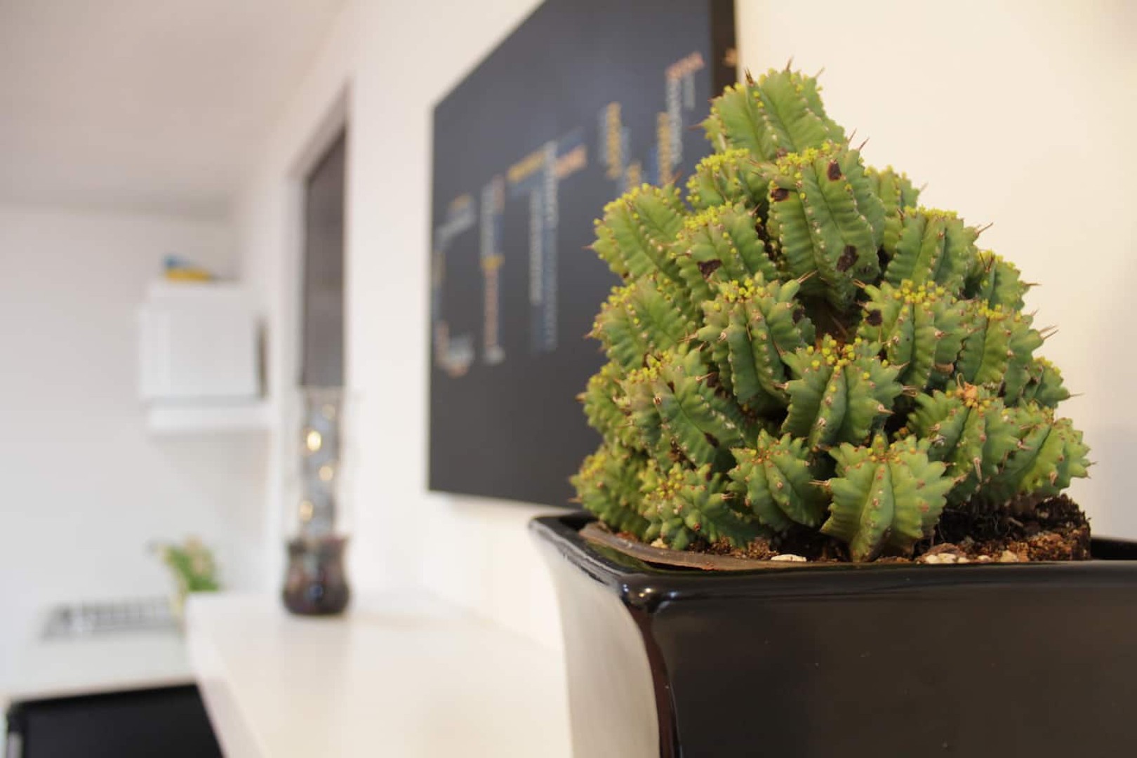 Acogedor Loft, en la Roma 4 · Foto 2