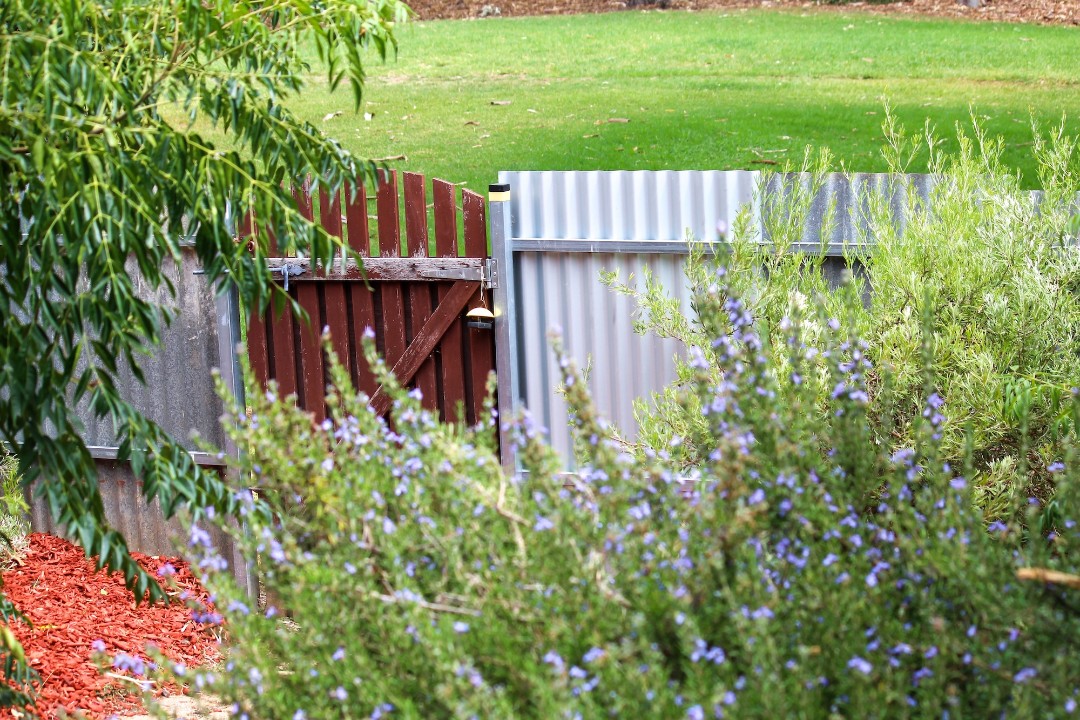 Surrounded by Nature and Wildlife – Guests enjoy birdwatching, with visits from rosellas, parrots, kookaburras, and occasional koalas.