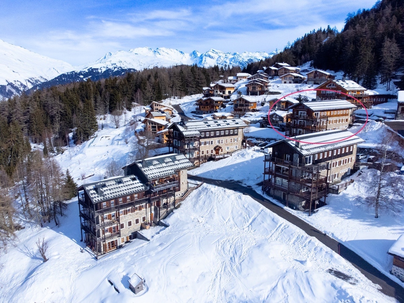 Chalet apt. L'Aiguille Grive, Arc1600, ski in/out — Arc 1600, Les Arcs, Auvergne-Rhône-Alpes — vacation rental