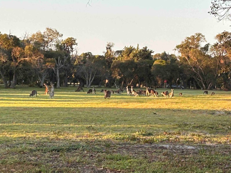 Escape to Lakeside - 