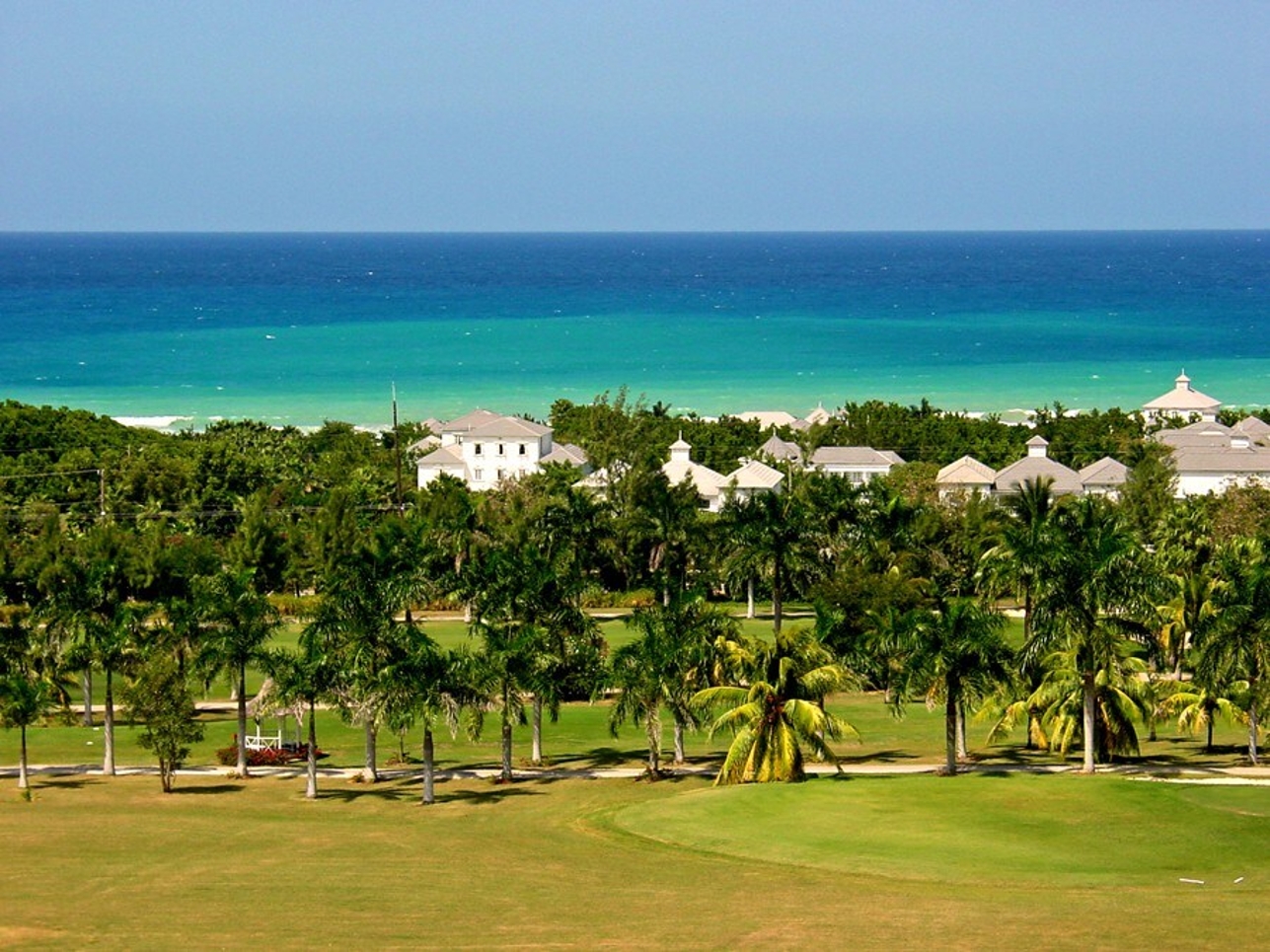 View 8