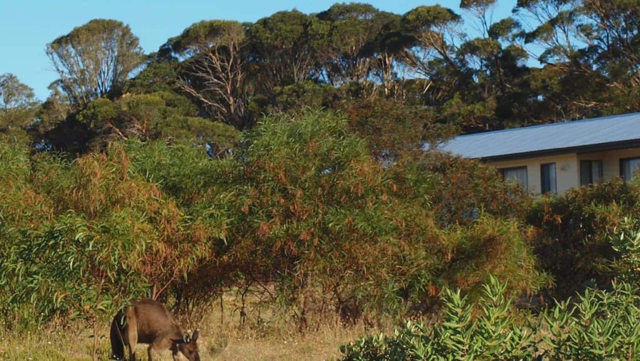 Peaceful Natural Setting – Pleasant green outlook with abundant local wildlife and plentiful fishing opportunities nearby.