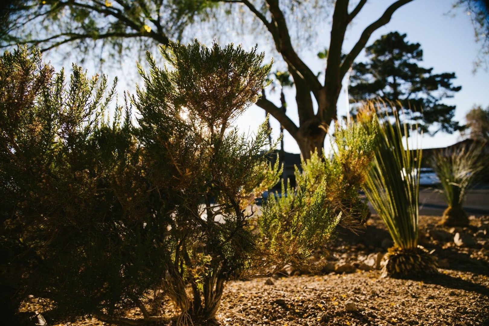 The Palms Home — photo 42