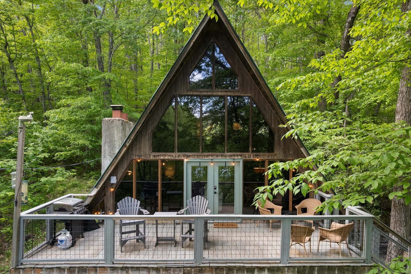 Stellar Views, Hiking, Swimming, Skiing and More! — Mars Hill, NC — vacation rental