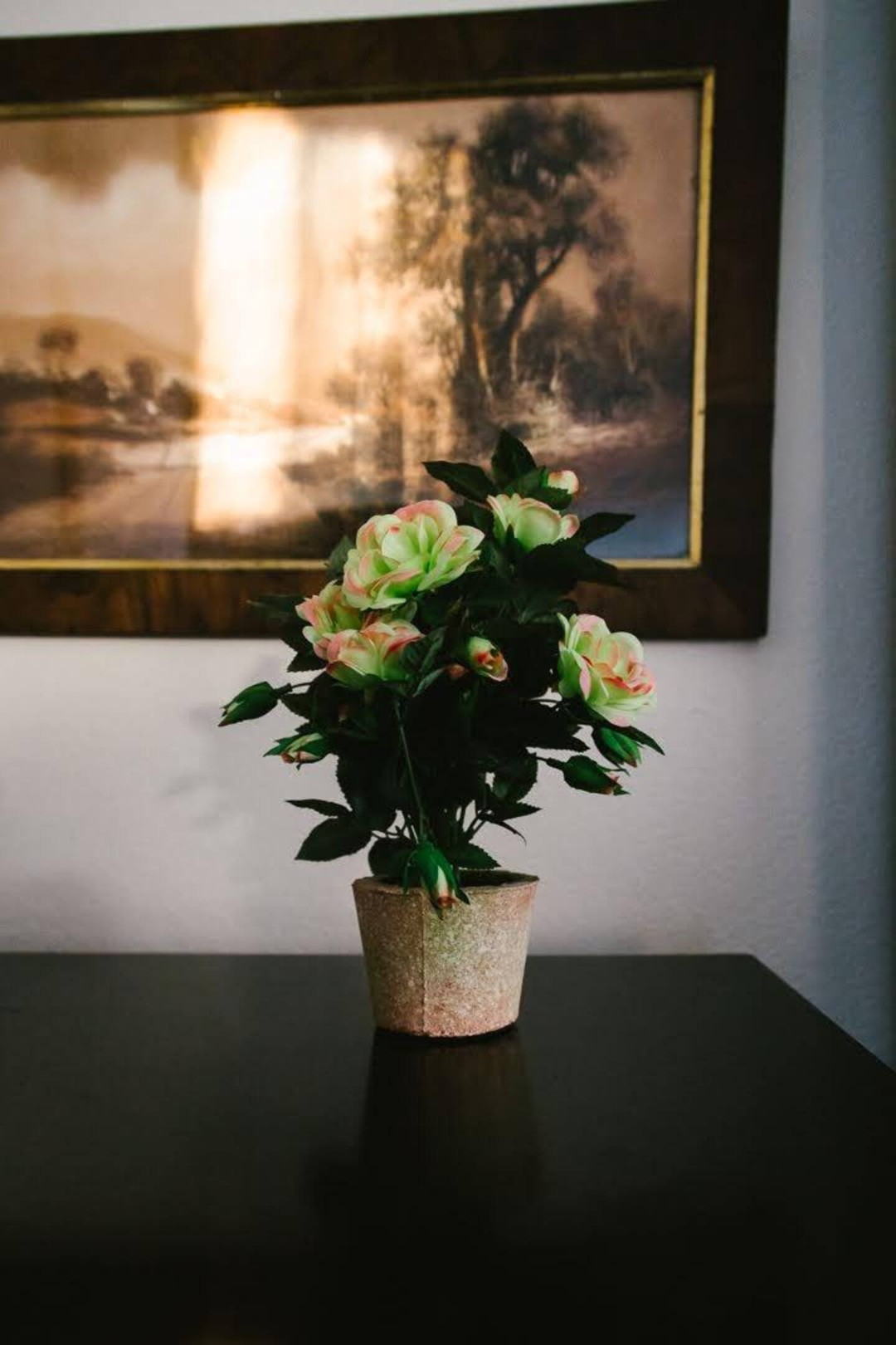 The Retro House — photo 19