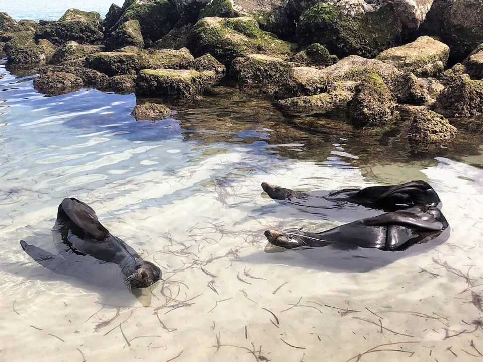 Sheltered beach with warm shallows ideal for children, nearby rocks for fishing, and easy access to deeper water.
