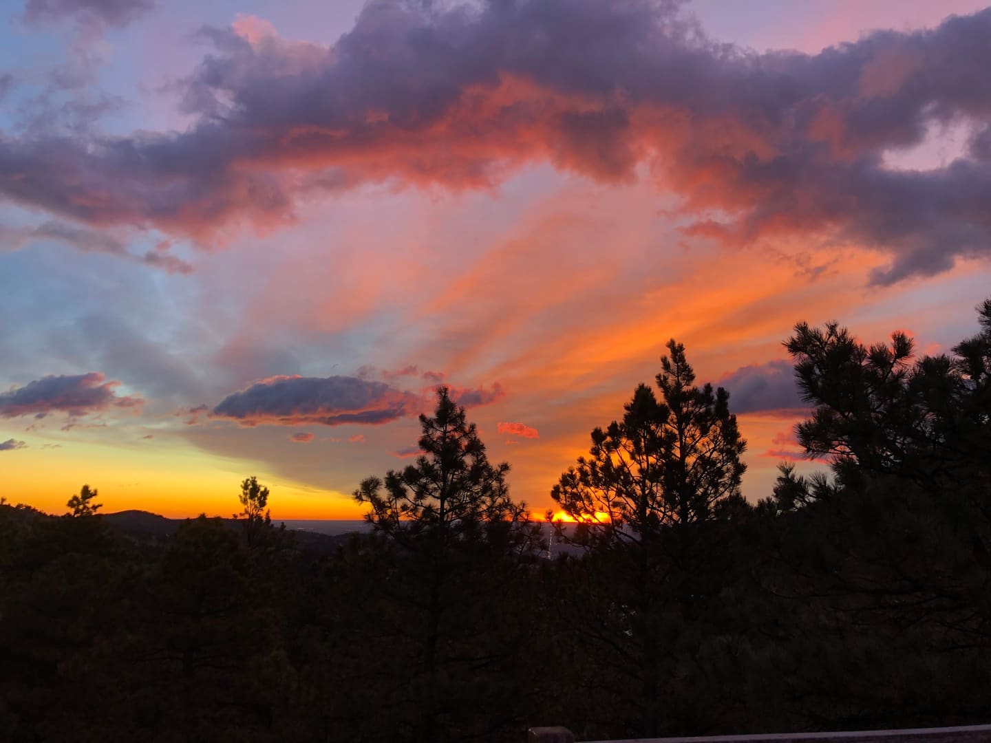 View 6