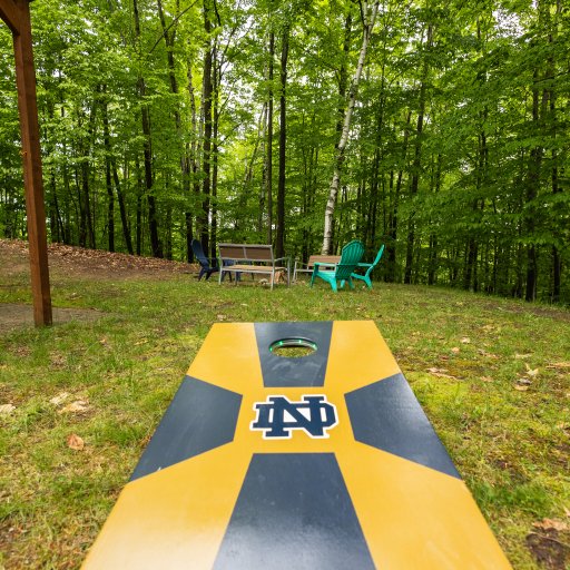 Challenge your friends to a game of cornhole in the peaceful, wooded backyard—perfect for outdoor fun and relaxation