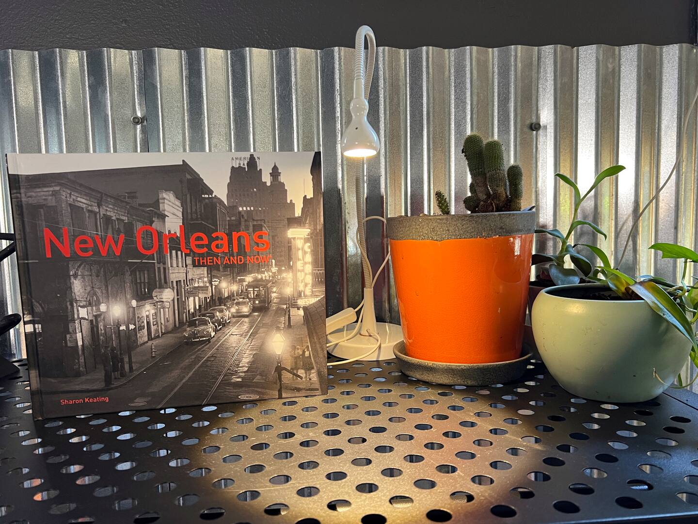 Reading Material: Photographic history of New Orleans.