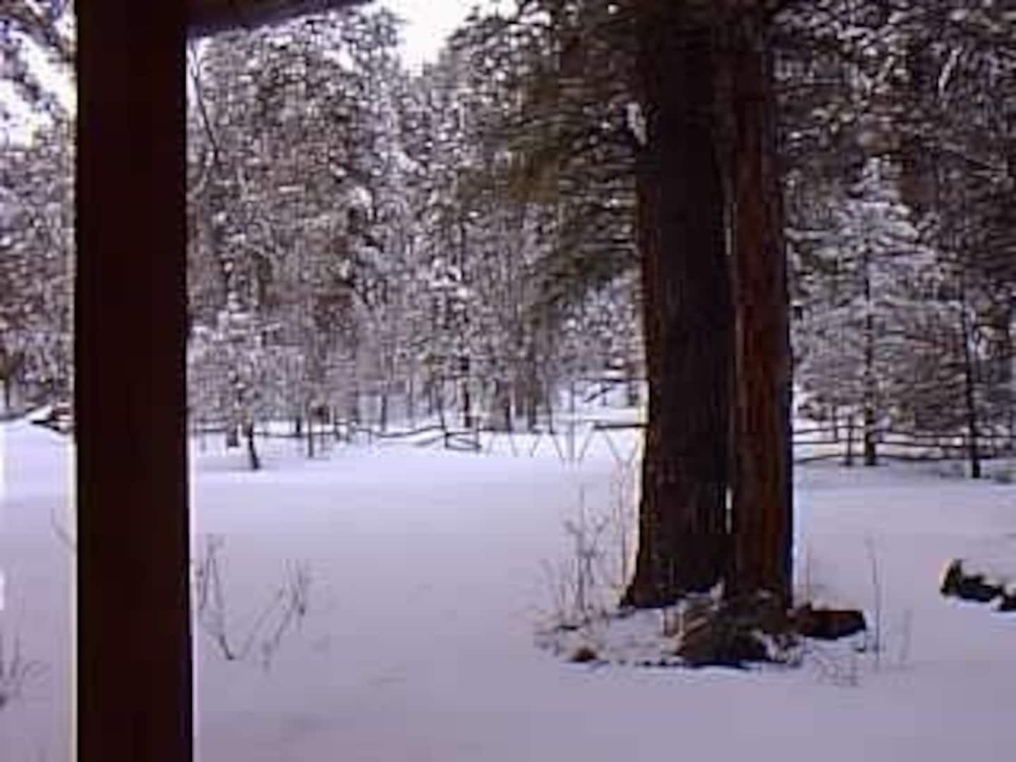 Mammoth Creek Cabin — photo 42