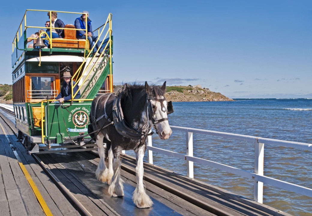 Minutes to Victor Harbor’s cafés, shops, the beach, Granite Island, and family attractions like Urimbirra Wildlife Park.