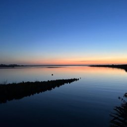 West Coast landscape representing the Tiaki Promise