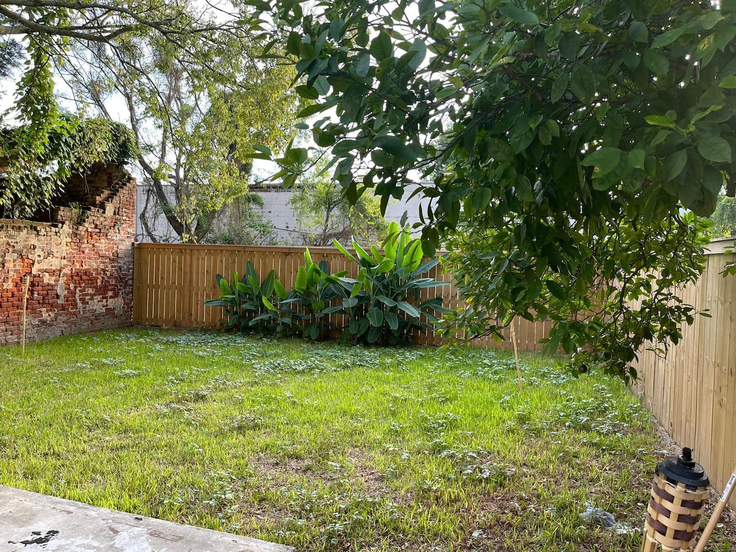 Wonderful backyard space, perfect for enjoying the New Orleans weather