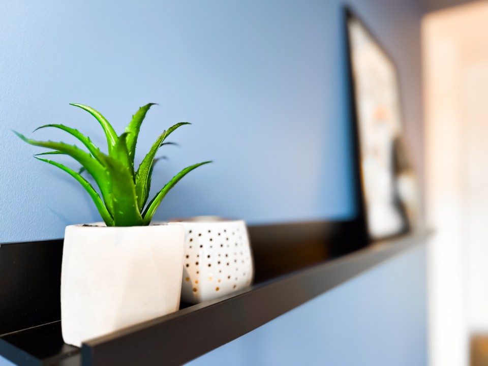 Property thumbnail 11