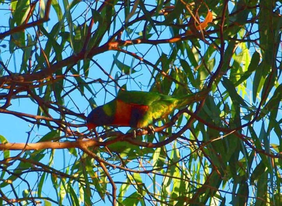 Peaceful Natural Setting – Pleasant green outlook with abundant local wildlife and plentiful fishing opportunities nearby.