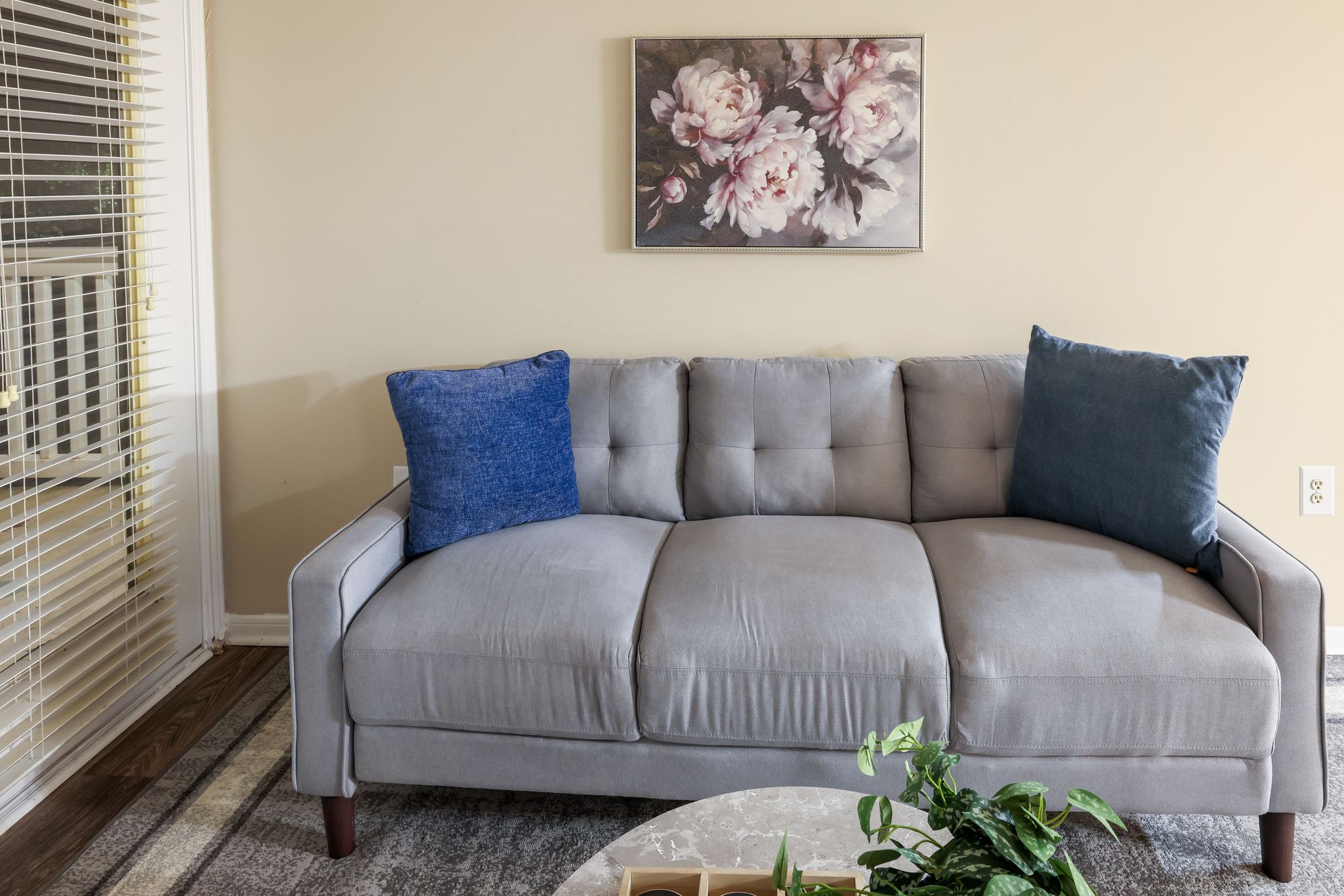 The Avenues of Lakeshore